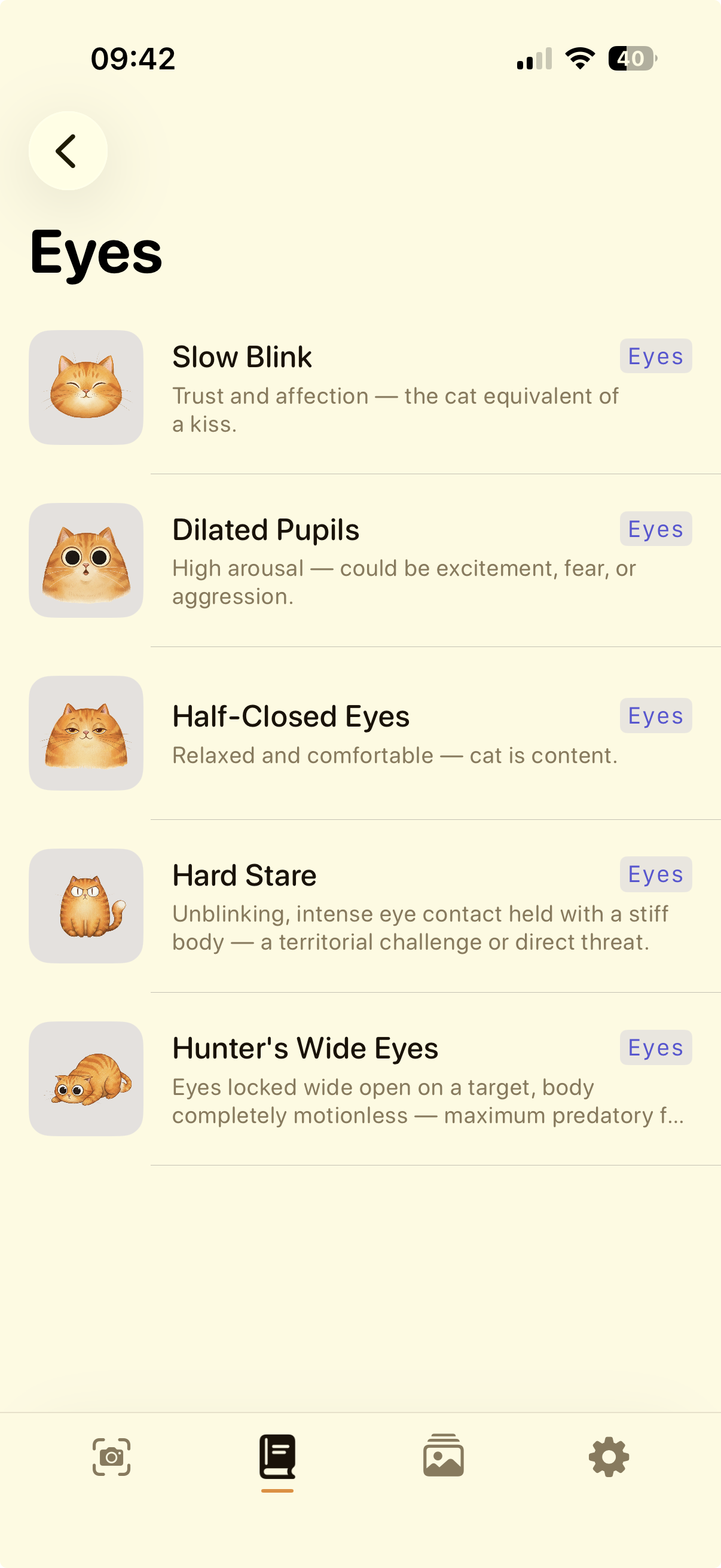 Catslator Catapedia — Eyes category
